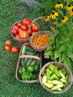 October Grocer Box (one time purchase)