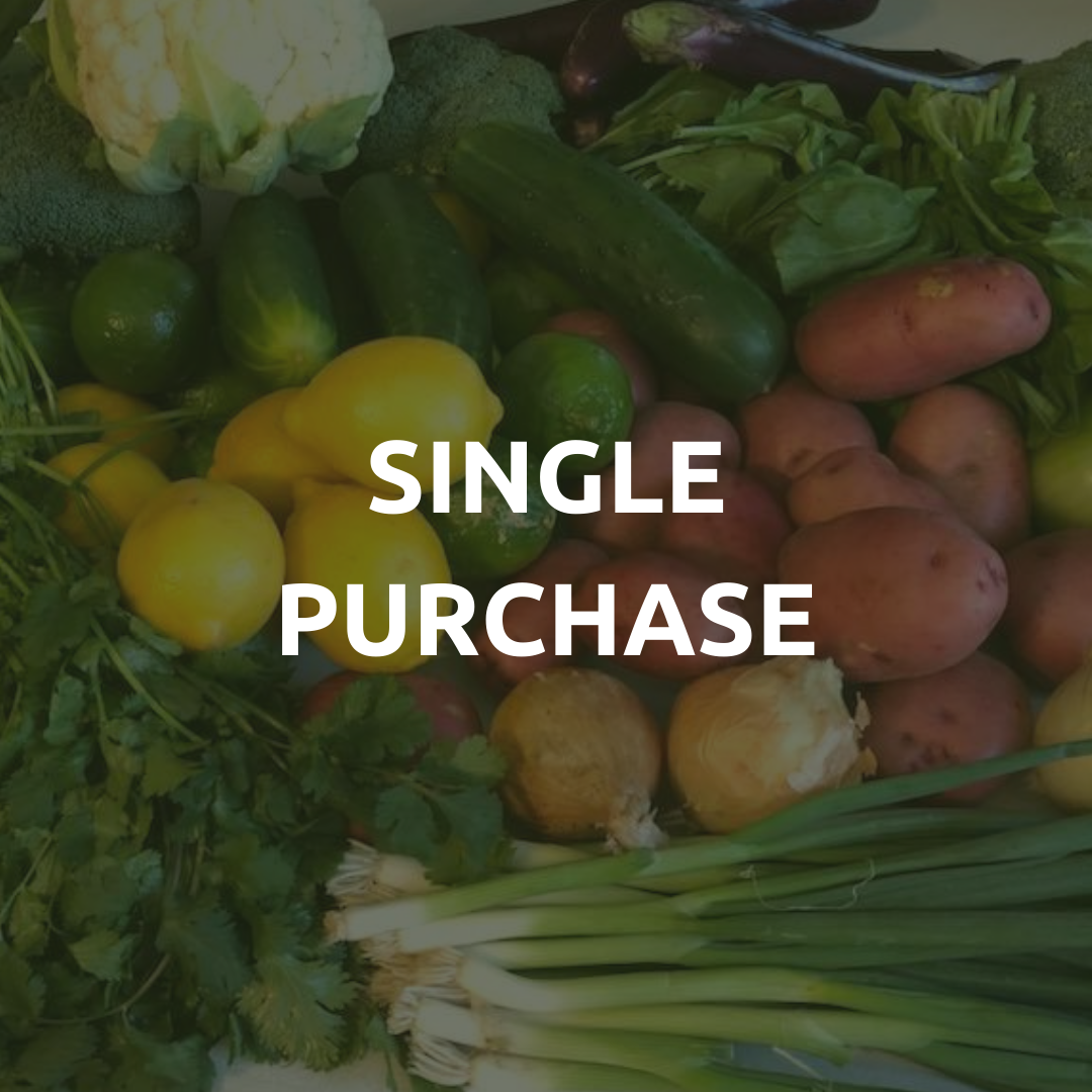 Savvy Senior Discount Box