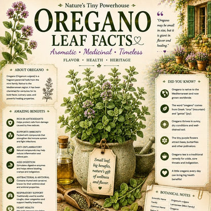 Rosemary and Oregano Tea