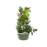 Tower Garden