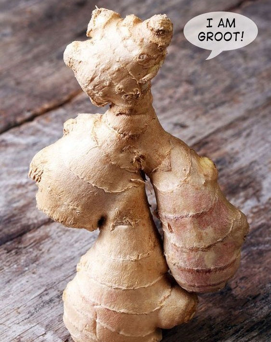 Ginger (Organic) 12 oz