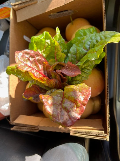 Holiday Specialty Box