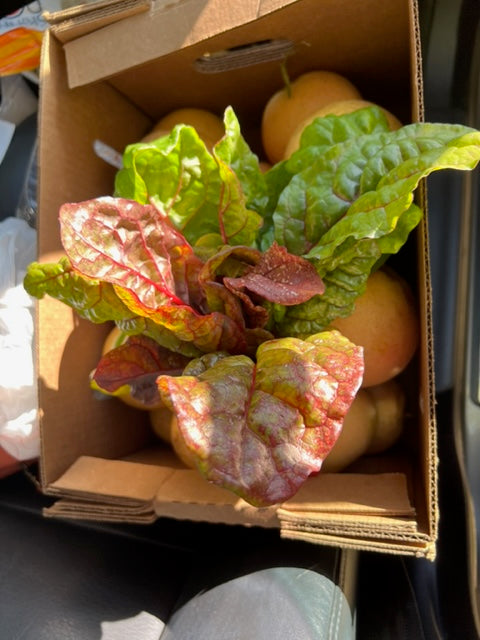 Holiday Specialty Box