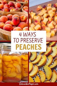 Peaches