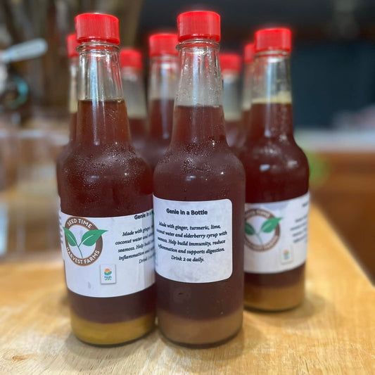 Genie in a Bottle  - 20 oz bottle